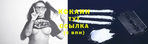 прущий лед Нея