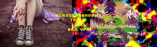 прущий лед Нея