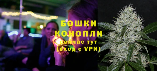 твердый Нефтегорск