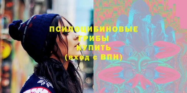 прущий лед Нея