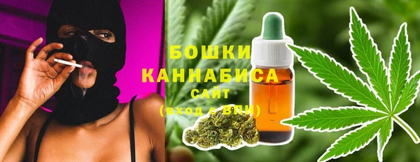 прущий лед Нея