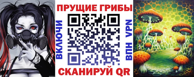 Галлюциногенные грибы Psilocybe  даркнет официальный сайт  Сочи 